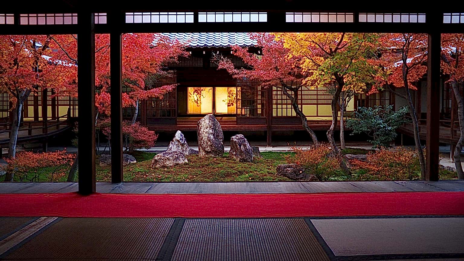 dojo scaled