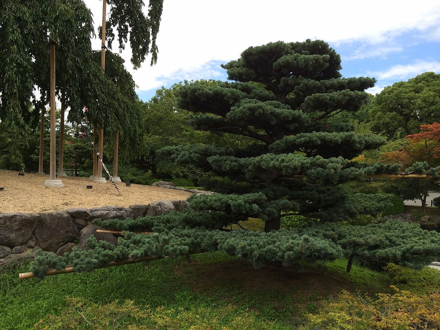 japonyaaikidokamp13